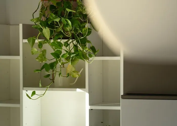 Lägenhet Casa Manara - Sunset View *